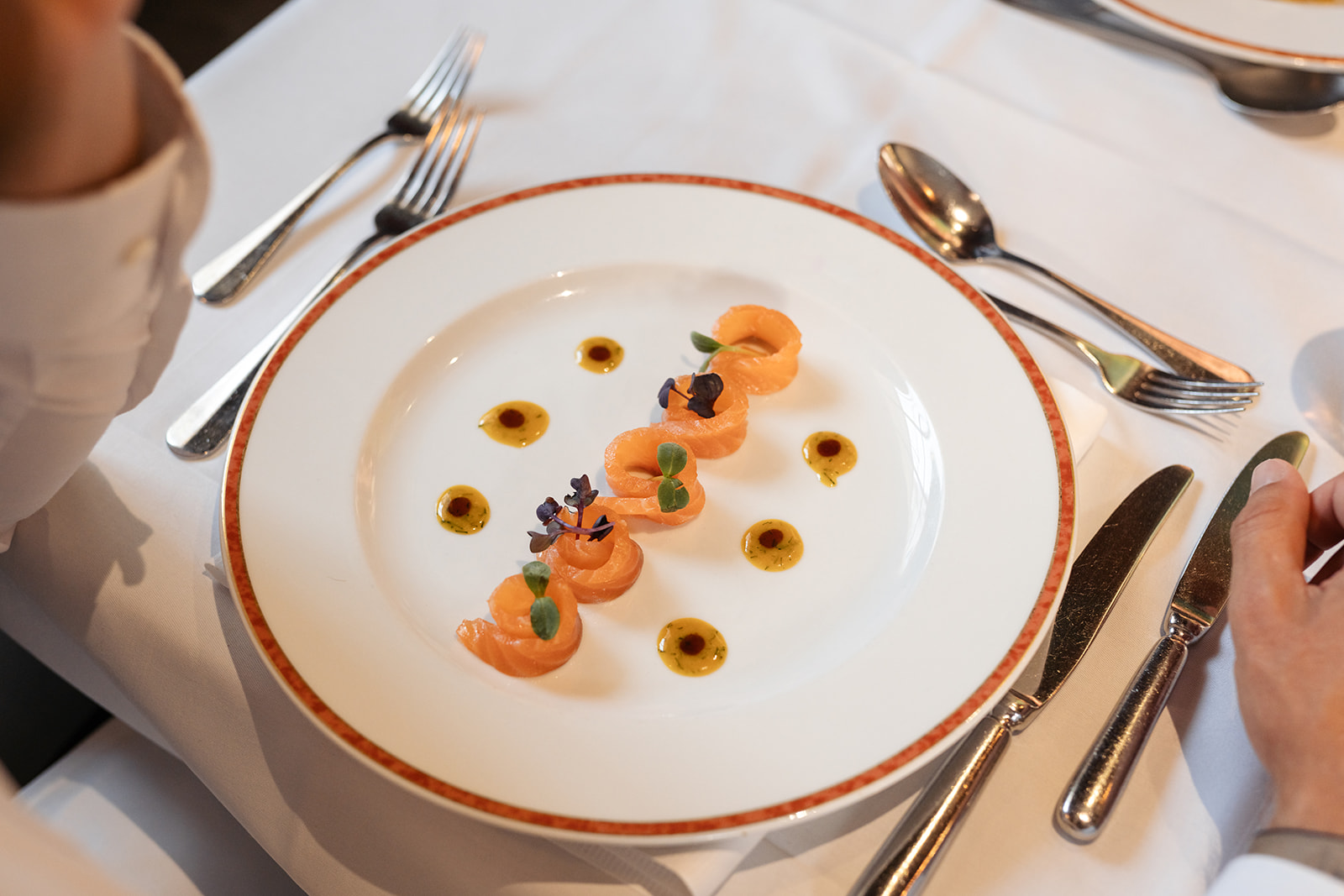 Kunstvoll angerichtetes Gourmetgericht mit Lachs und Kräutern auf einem Teller, umgeben von feiner Soße.