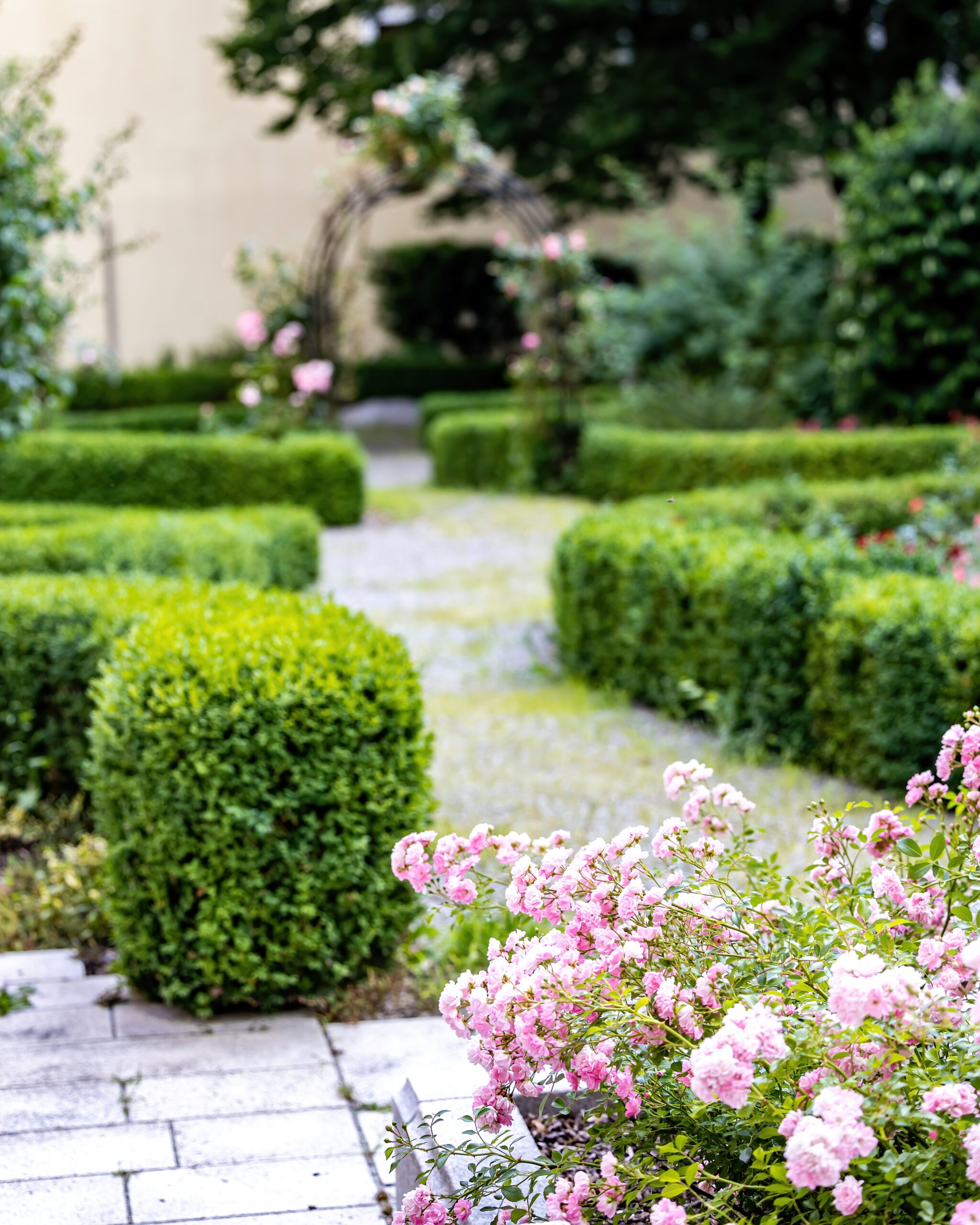 Gepflegter Gartenweg mit grünen Hecken und Blumenbeeten, ideal für eine erholsame Umgebung während einer Veranstaltung